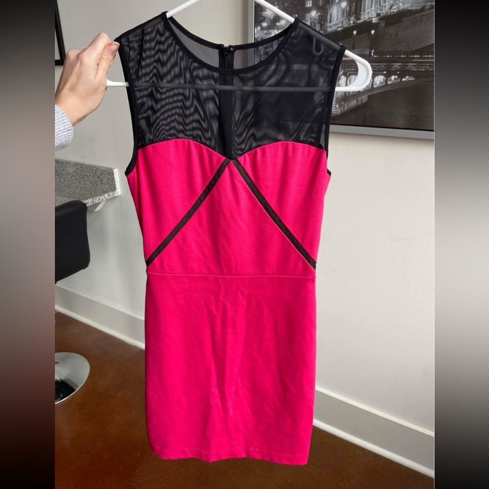 Erin Fetherston Pink and Black Dress